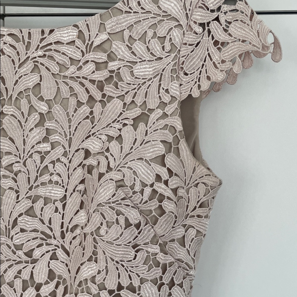 Eliza J Embroidered Powder Pink Lace Overlay Cocktail Dress - Size 4 - Picture 8 of 16